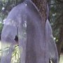 Leslie Wilcox, "Nightshirts: Night Shirtail," 2003, stainless steel screen, 5 x 3 x 3 feet. [OUTSIDE]